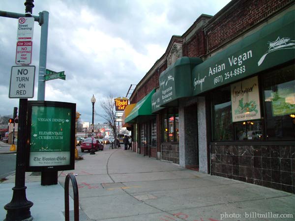 allston rock city