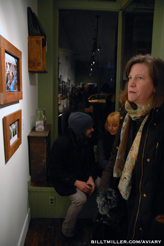 AVIARY SHOW - Photo by Sheri Hausey