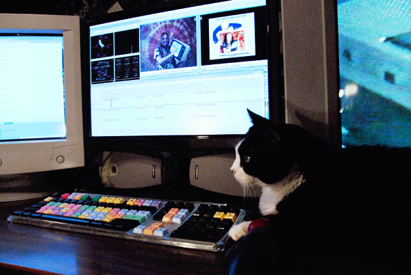 TIPPI FCP