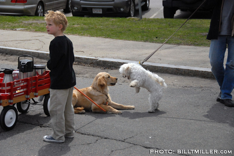 Boston Marathon 2011 by Bill T Miller