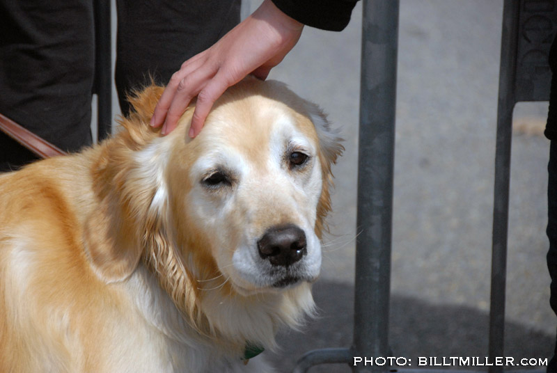 Boston Marathon 2011 by Bill T Miller