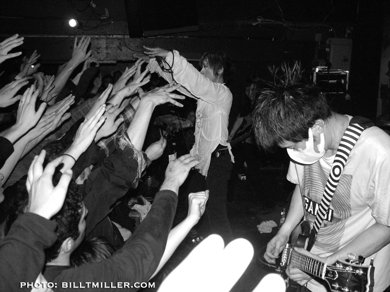 MELT-BANANA - Photo by Bill T Miller