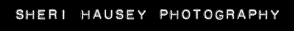 SheriHausey.com