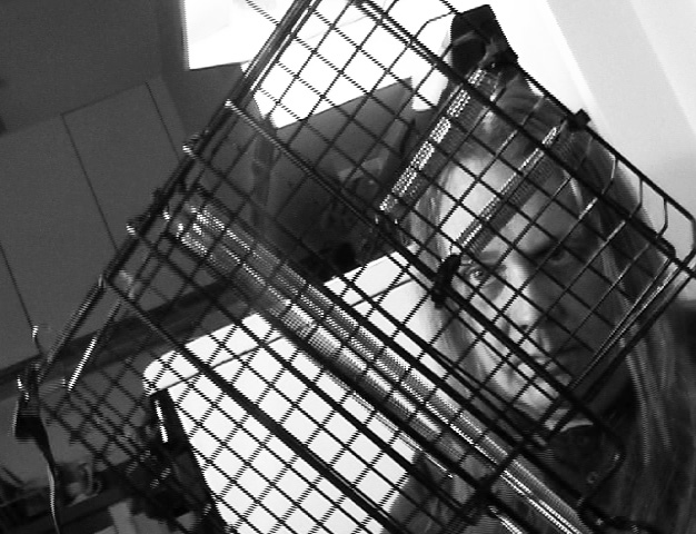 Bill T Miller & Michael Knoblach - 2012 Leap Year Sessions