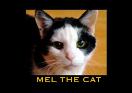 MEL THE CAT